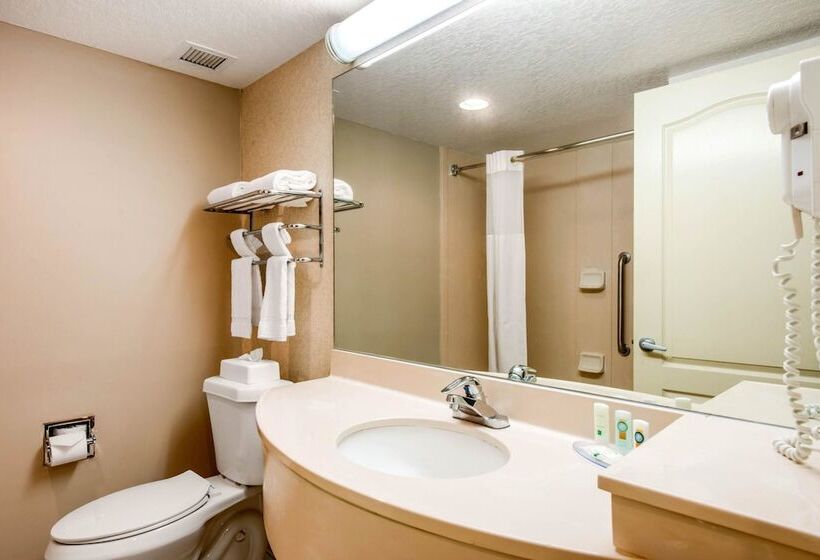 Номер Стандарт 2 Двуспальные Кровати, Quality Inn & Suites Tarpon Springs South