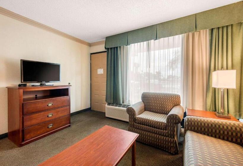 Люкс, Quality Inn & Suites Tarpon Springs South