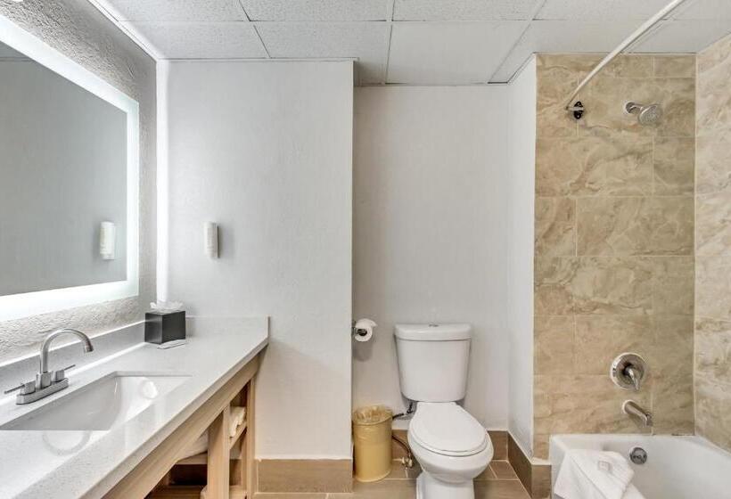Стандартный Номер Кровать Кинг, Clarion Inn Salt Lake City Airport