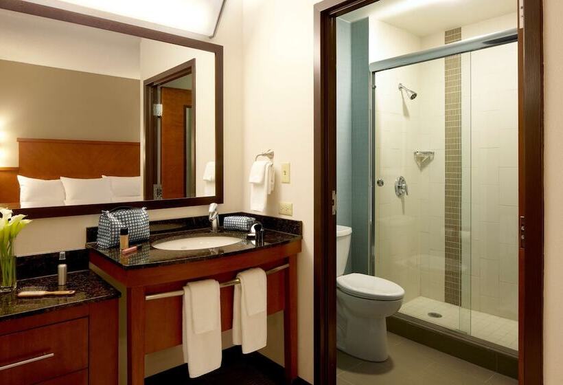 Номер Стандарт 2 Двуспальные Кровати, Hyatt Place Atlanta Downtown