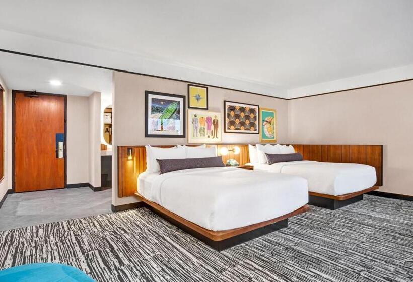 标准间, Indigo   Minneapolis Downtown, An Ihg