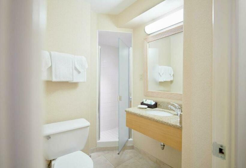 Студия Стандарт, Outrigger Waikiki Paradise