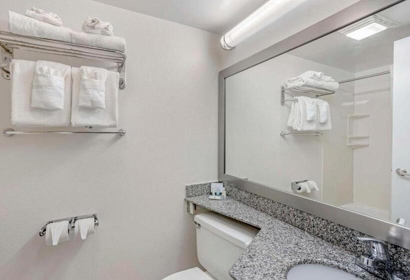 带大床的标准间, Quality Inn Enola  Harrisburg