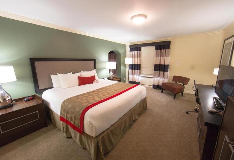 Estudi Deluxe, Ramada By Wyndham Houston Intercontinental Airport East