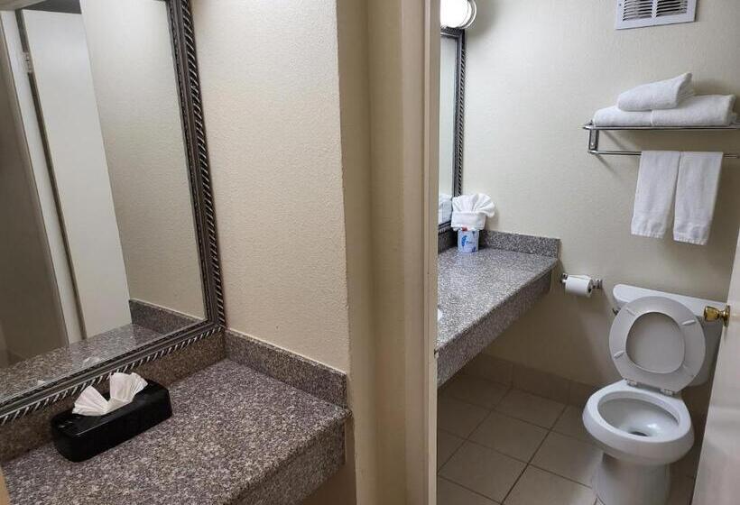 Habitació Estàndard Llit King Adaptada per a persones amb mobilitat reduïda, Ramada By Wyndham Houston Intercontinental Airport East