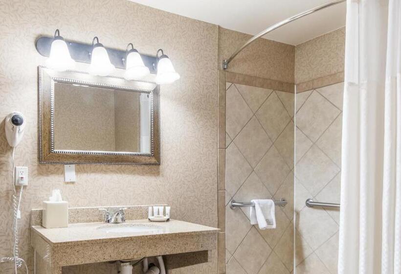 장애인을 위한 스탠다드 룸, Red Lion Hotel Portland Airport