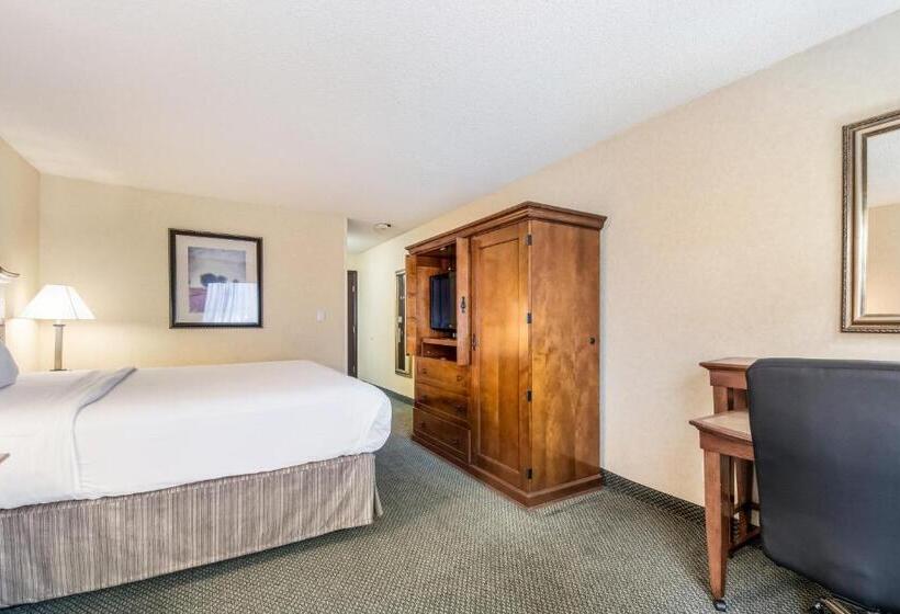 스탠다드 룸 킹사이즈 침대, Red Lion Hotel Portland Airport