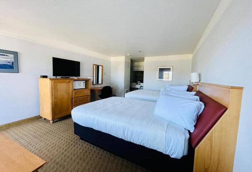 Номер Стандарт Внутренний, Seabird Lodge Fort Bragg