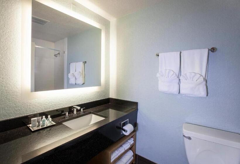 سوئیت جونیور با تخت بزرگ, Wyndham Orlando Resort International Drive