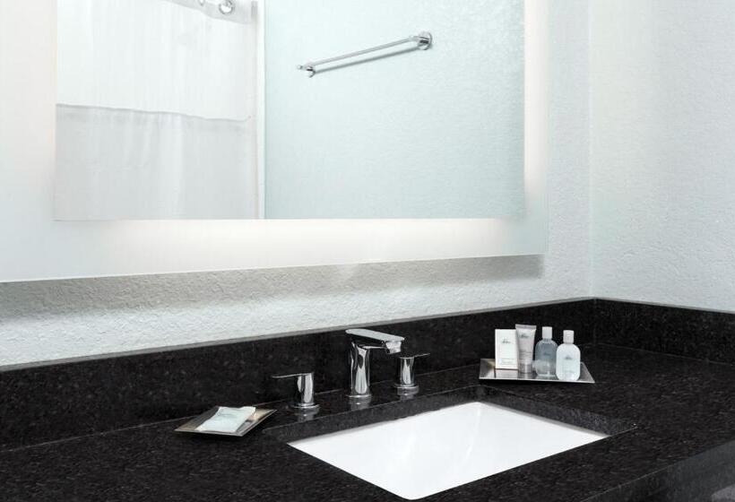 سوئیت جونیور با تخت بزرگ, Wyndham Orlando Resort International Drive