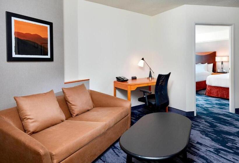 Suite, Fairfield Inn Suites Indianapolis Downtown