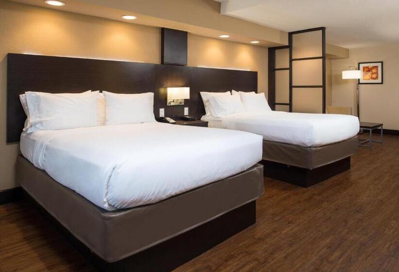 标准间, Holiday Inn Express & Suites San Antonio Medical Center North, An Ihg