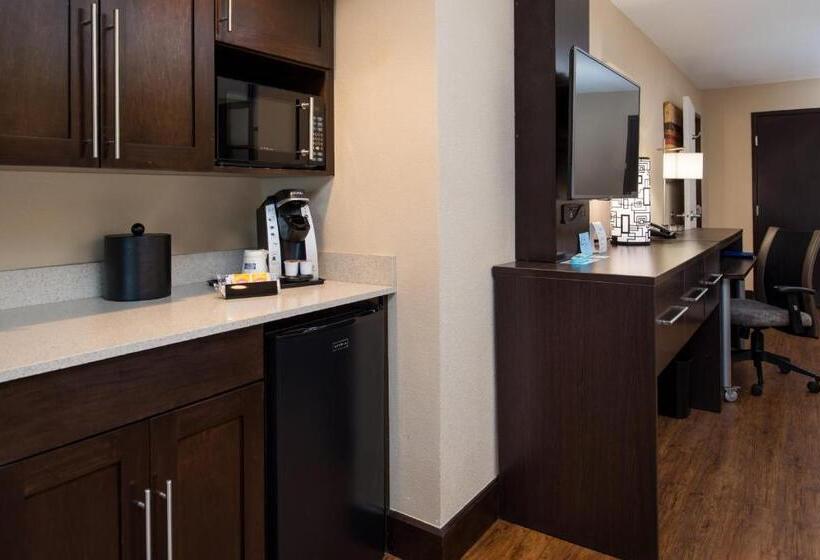 适合残疾人士使用的带超级大床的标准间, Holiday Inn Express & Suites San Antonio Medical Center North, An Ihg