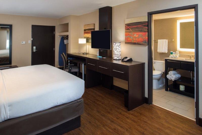 适合残疾人士使用的套间, Holiday Inn Express & Suites San Antonio Medical Center North, An Ihg