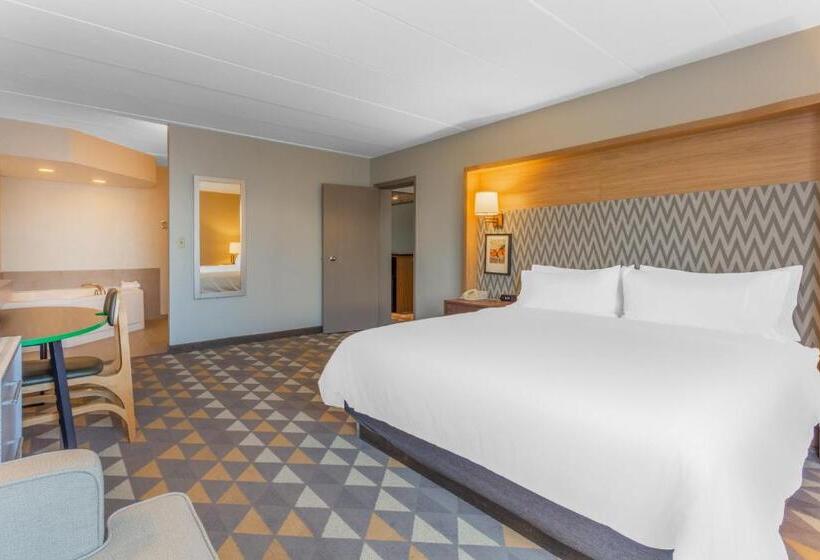 Suite, Holiday Inn Rockford, An Ihg