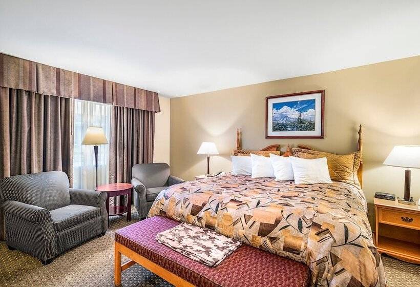 高级大房间, Winnemucca Inn & Casino