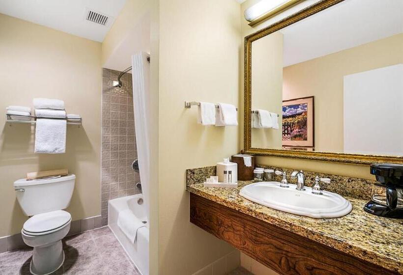 高级单人间, Winnemucca Inn & Casino