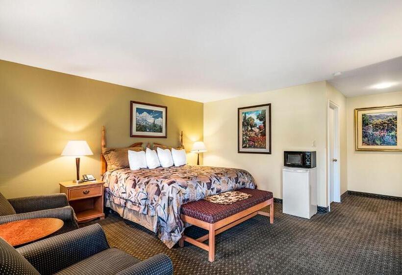 高级单人间, Winnemucca Inn & Casino