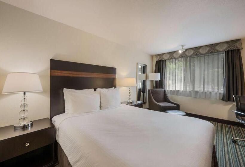 Номер Стандарт, Best Western Alderwood