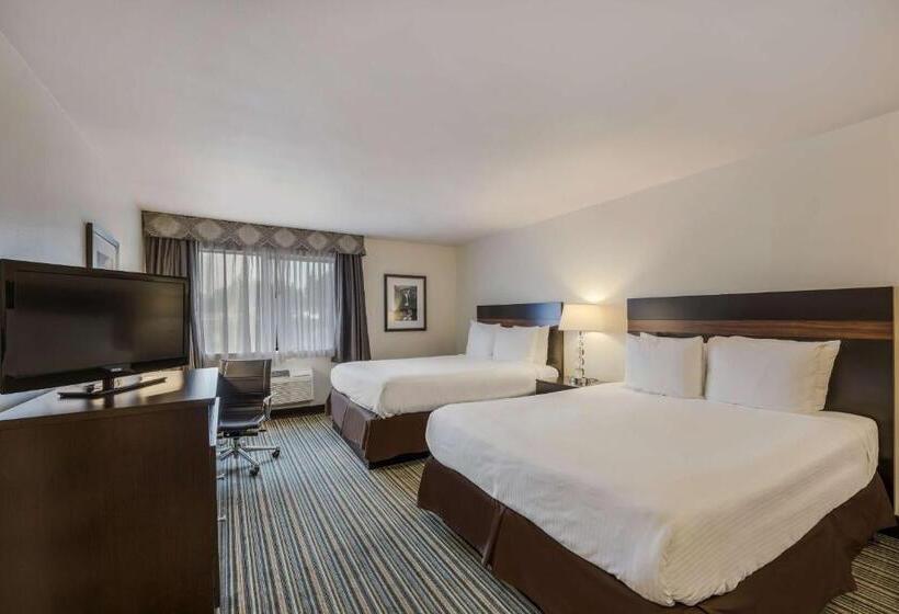 Номер Стандарт, Best Western Alderwood