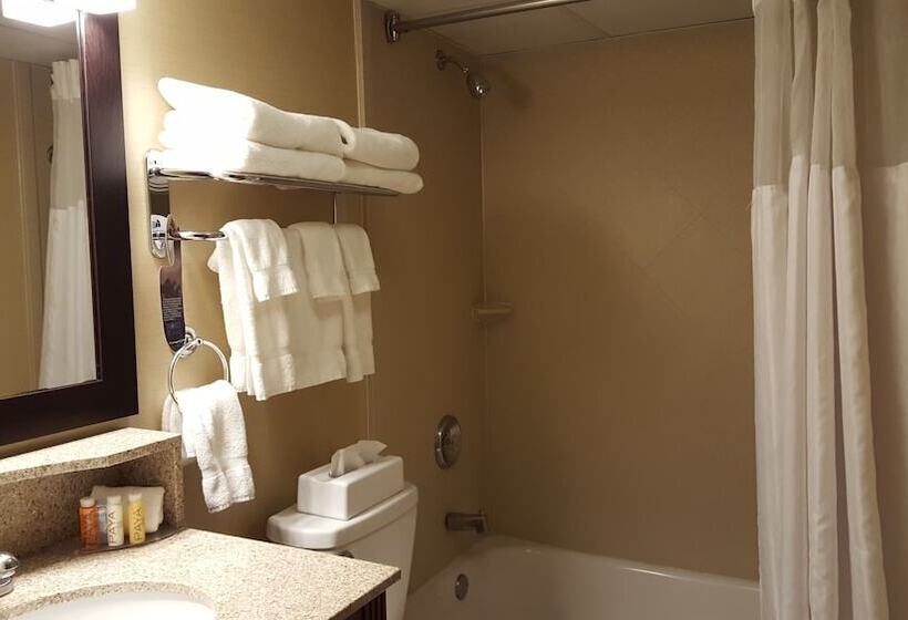 Номер Стандарт 2 Двуспальные Кровати, Best Western Plus The Inn At Sharon/foxboro