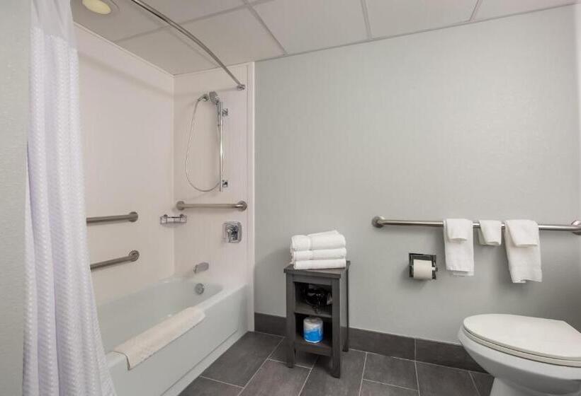 Номер Deluxe Адаптированный для Инвалидов, Courtyard Rockaway Mount Arlington
