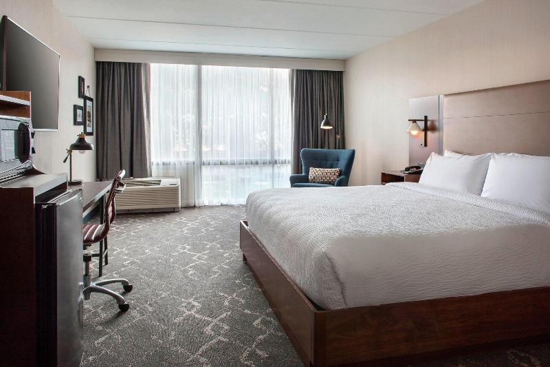 带大床的标准间, Four Points Philadelphia Northeast