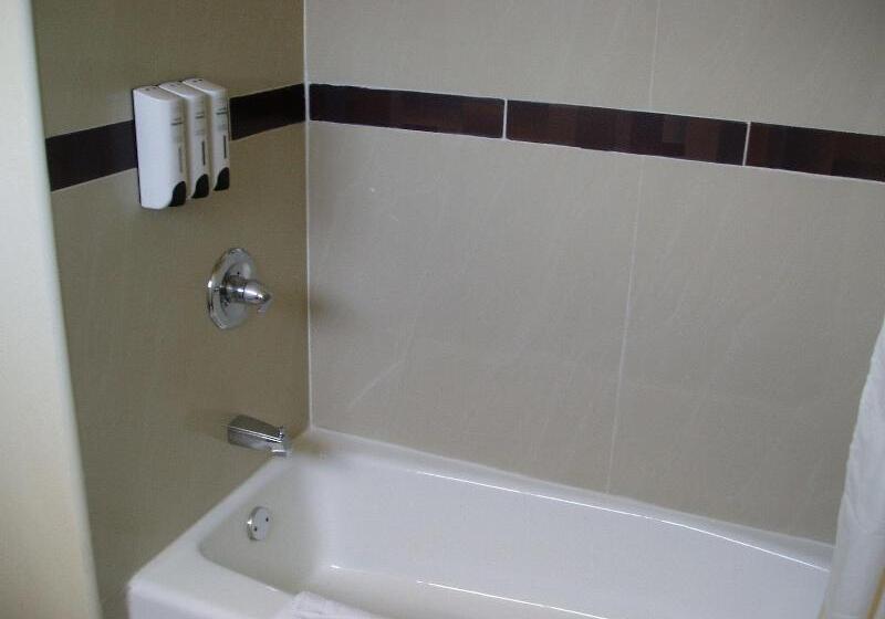 스탠다드 룸, Rockview Inn And Suites