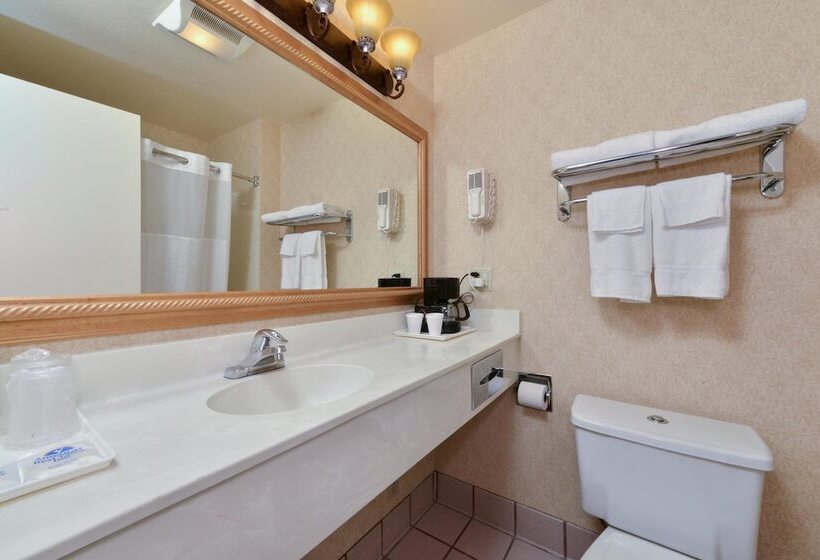 Standaardkamer met Tweepersoonsbed, Americas Best Value Inn San Jose Convention Center