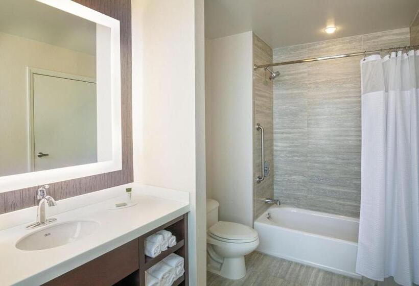 장애인을 위한 킹사이즈 침대 스탠다드 룸, Courtyard By Marriott Boston Downtown