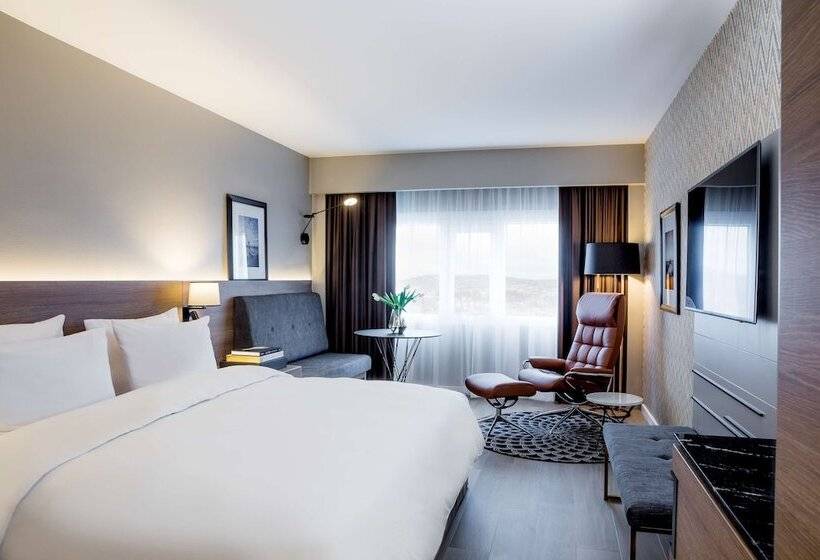 اتاق سوپریور با چشم‌انداز, Radisson Blu Plaza Hotel, Oslo