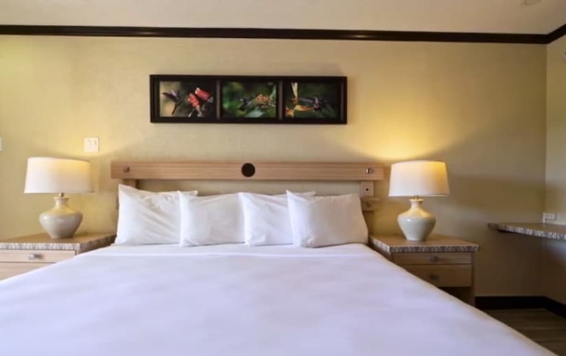سوئیت 2 خوابه, Accra Beach Hotel & Spa