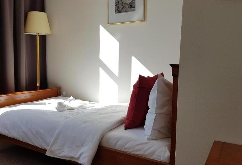 豪华单人间, B&b Hotel Praha