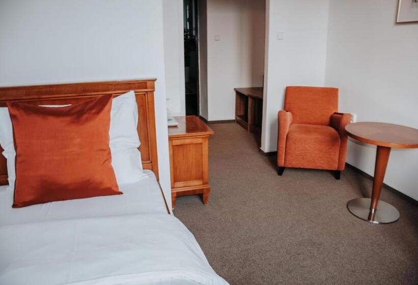 豪华单人间, B&b Hotel Praha