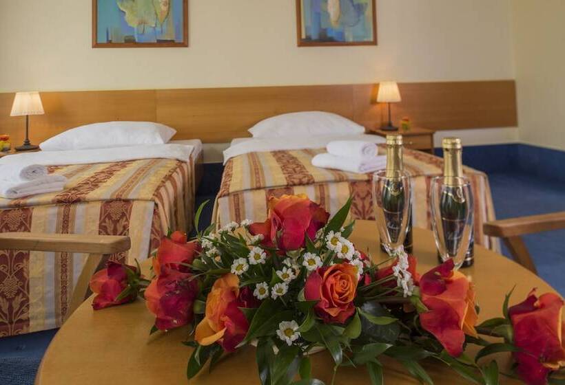 Superior Oda, Top Hotel Praha