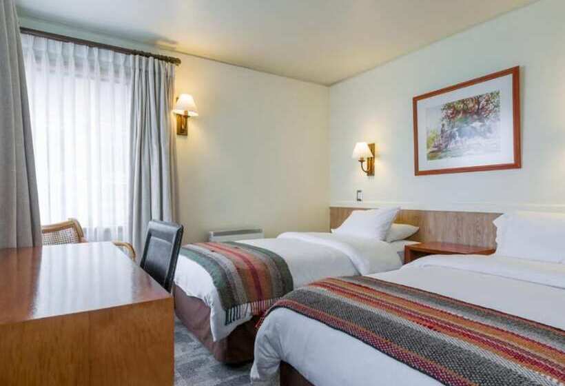 Номер Superior, Don Luis Puerto Montt