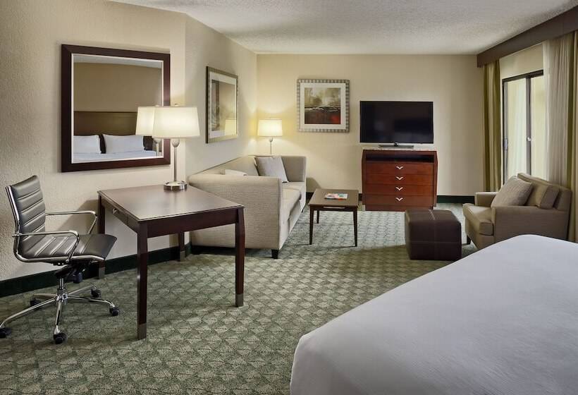 Полулюкс с Балконом, Doubletree By Hilton San Antonio Downtown