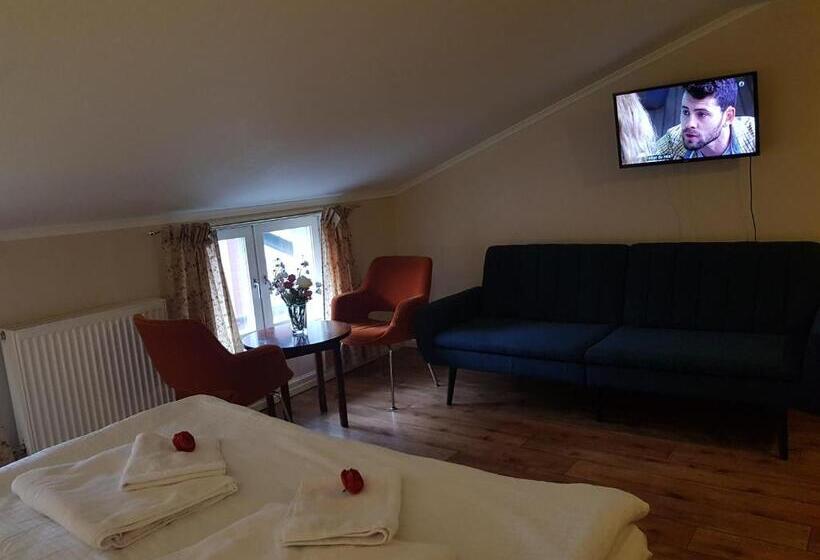 Номер Deluxe Кровать Кинг, Appelberg