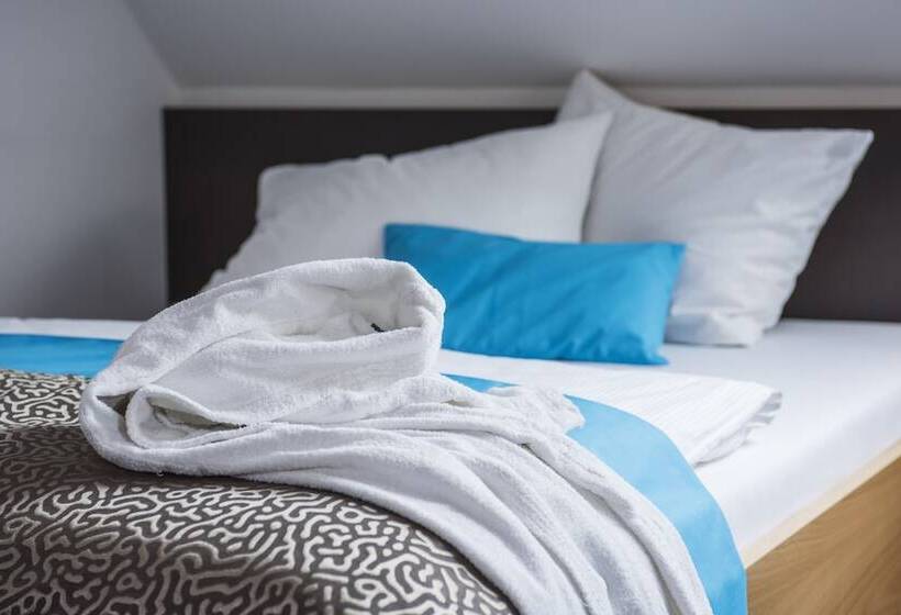 اتاق راحتی یک تخته, Seehotel Friedrichshafen