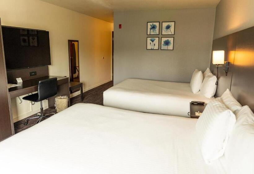 스탠다드 룸, Lake Natoma Inn