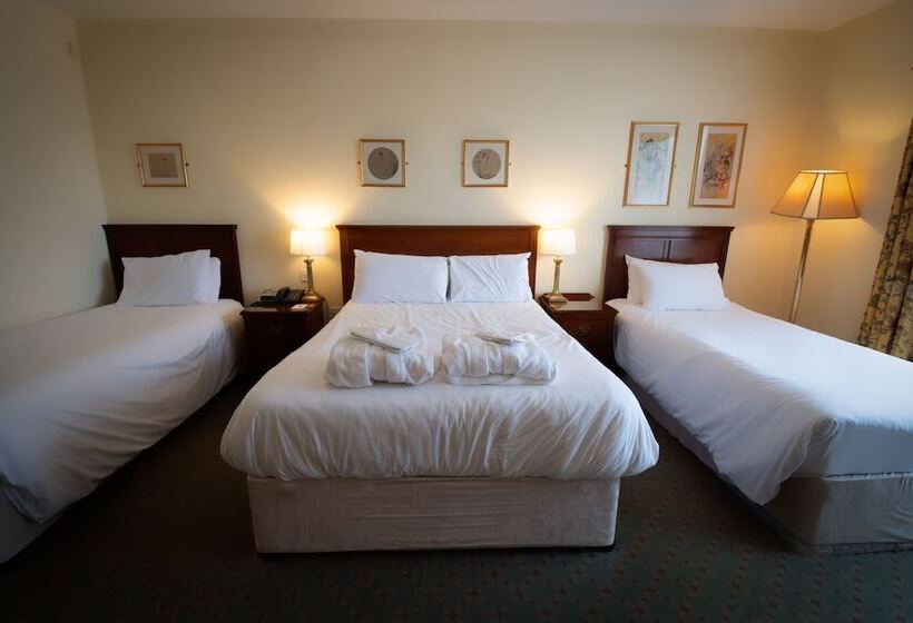 스탠다드 트리플 룸, Abbey Hotel Roscommon