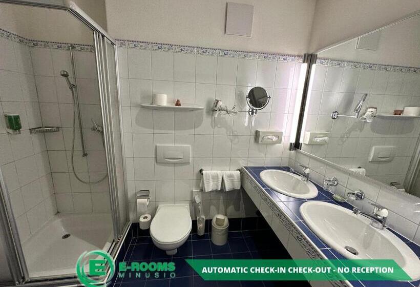 Номер Стандарт Вид на Озеро, Erooms Minusio