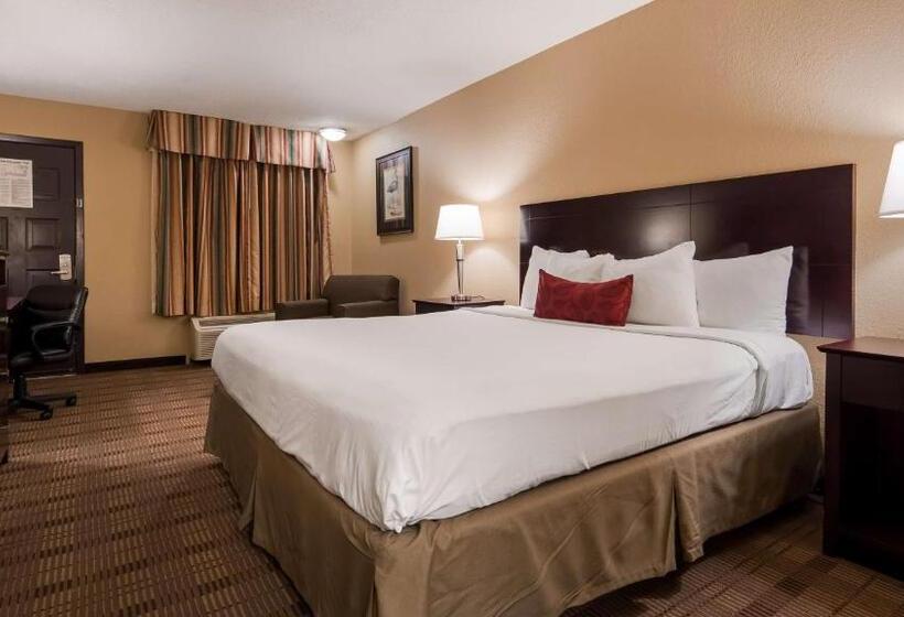 带大床的标准间, Best Western Of Alexandria Inn & Suites & Conference Center
