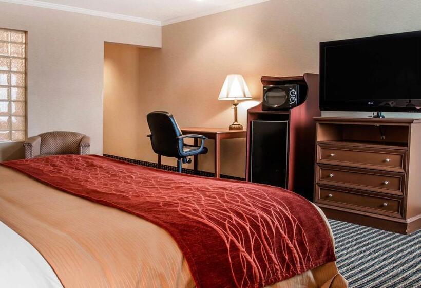 Стандартный Номер Кровать Кинг, Comfort Inn Livonia