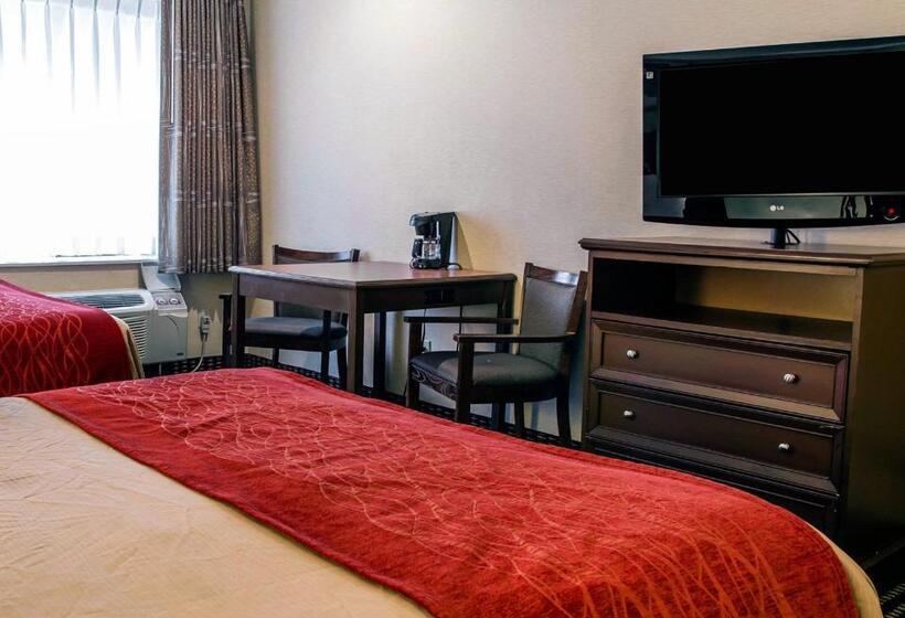 Номер Стандарт, Comfort Inn Livonia