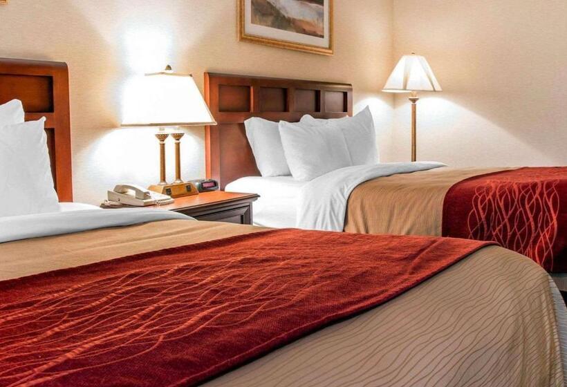 Номер Стандарт, Comfort Inn Livonia