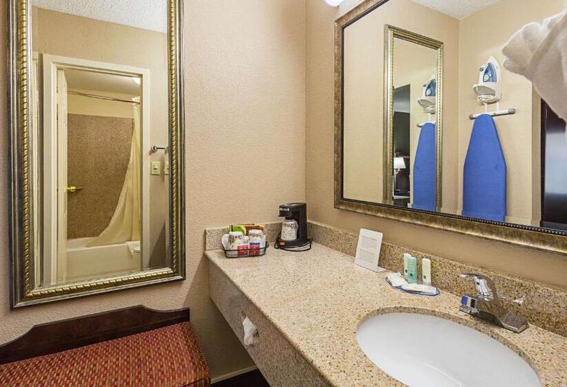 스탠다드 룸 킹사이즈 침대, Quality Inn & Suites Greenville   Haywood Mall
