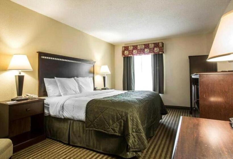 스위트 킹사이즈 침대, Quality Inn & Suites Greenville   Haywood Mall