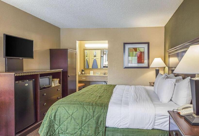 장애인을 위한 킹사이즈 침대 스탠다드 룸, Quality Inn & Suites Greenville   Haywood Mall