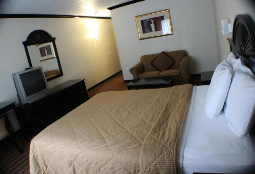 스탠다드 싱글 룸, Araamda Inn